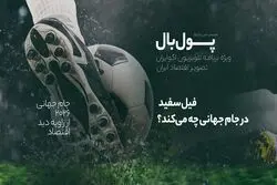 پول‌بال؛ ماجرای فیل سفید، کشورها چطور از جام جهانی شکست می‌خورند؟