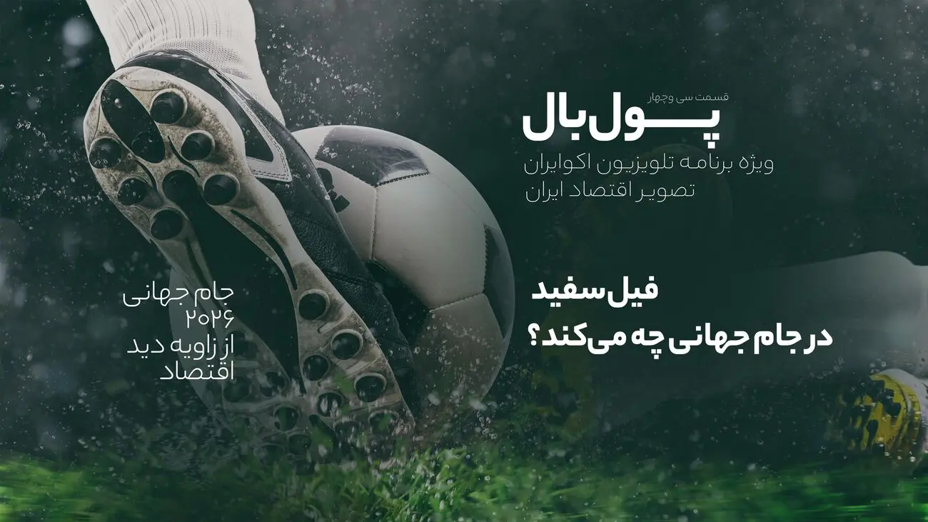 پول‌بال؛ ماجرای فیل سفید، کشورها چطور از جام جهانی شکست می‌خورند؟