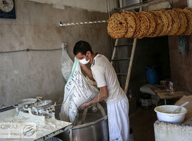 مقصر گرانی نان شناسایی شد