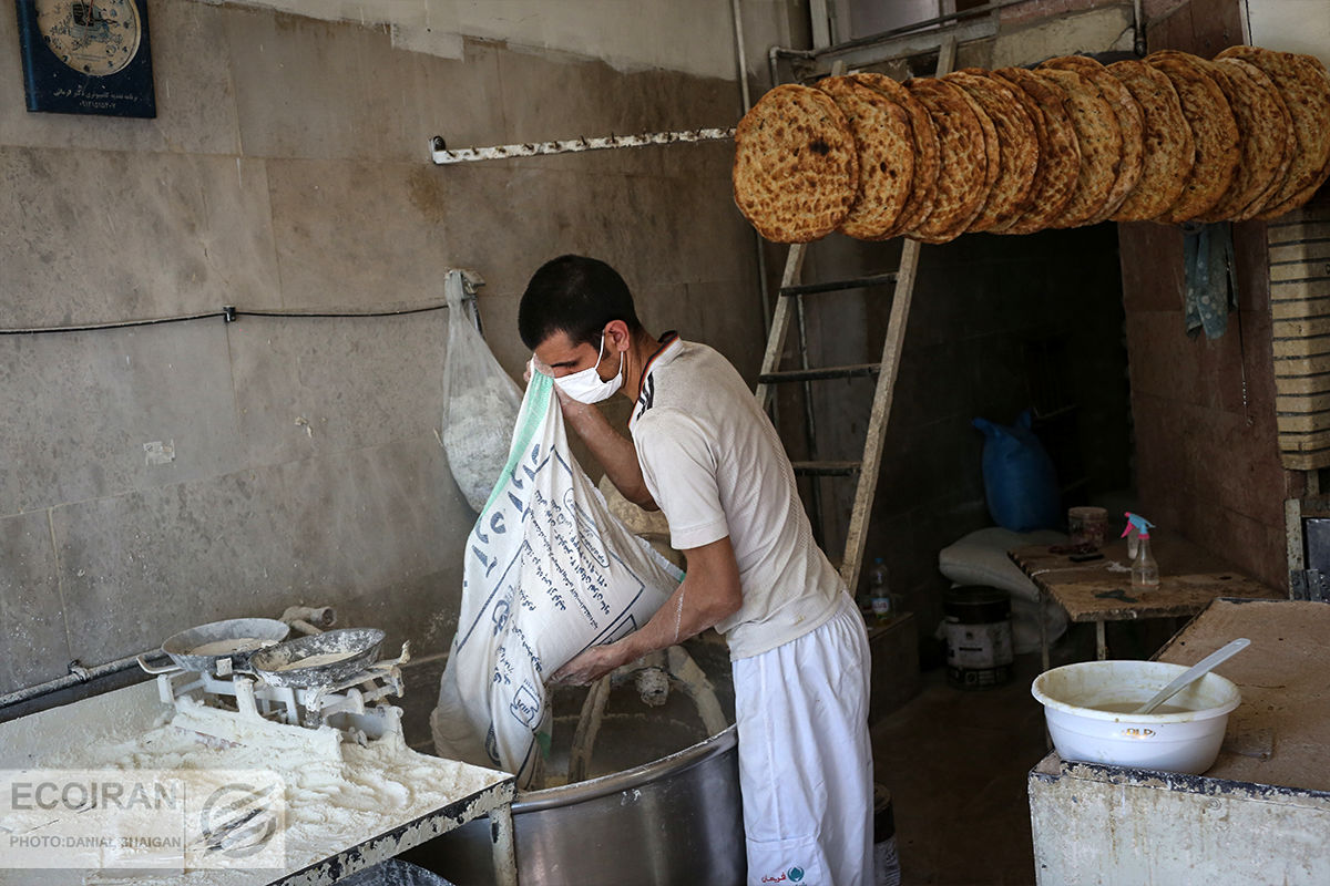 مقصر گرانی نان شناسایی شد