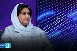 برگ برنده تجدیدپذیری