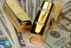 کف بازار |  2 هشدار برای طلا و ارز