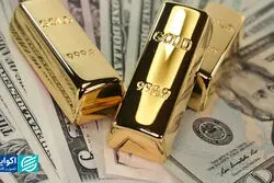 کف بازار |  2 هشدار برای طلا و ارز