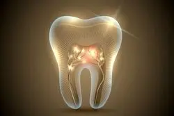 آزمایش بالینی نخستین داروی رشد مجدد دندان