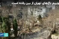 نگوییم باغ‌های تهران از بین رفته است