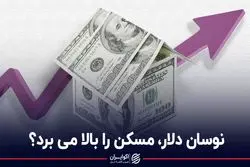نوسان دلار، مسکن را بالا می برد؟