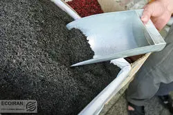 ۹۶ درصدی مطالبات چایکاران پرداخت شد