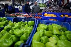 رشد 28 درصدی صادرات محصولات کشاورزی در بهار 1403