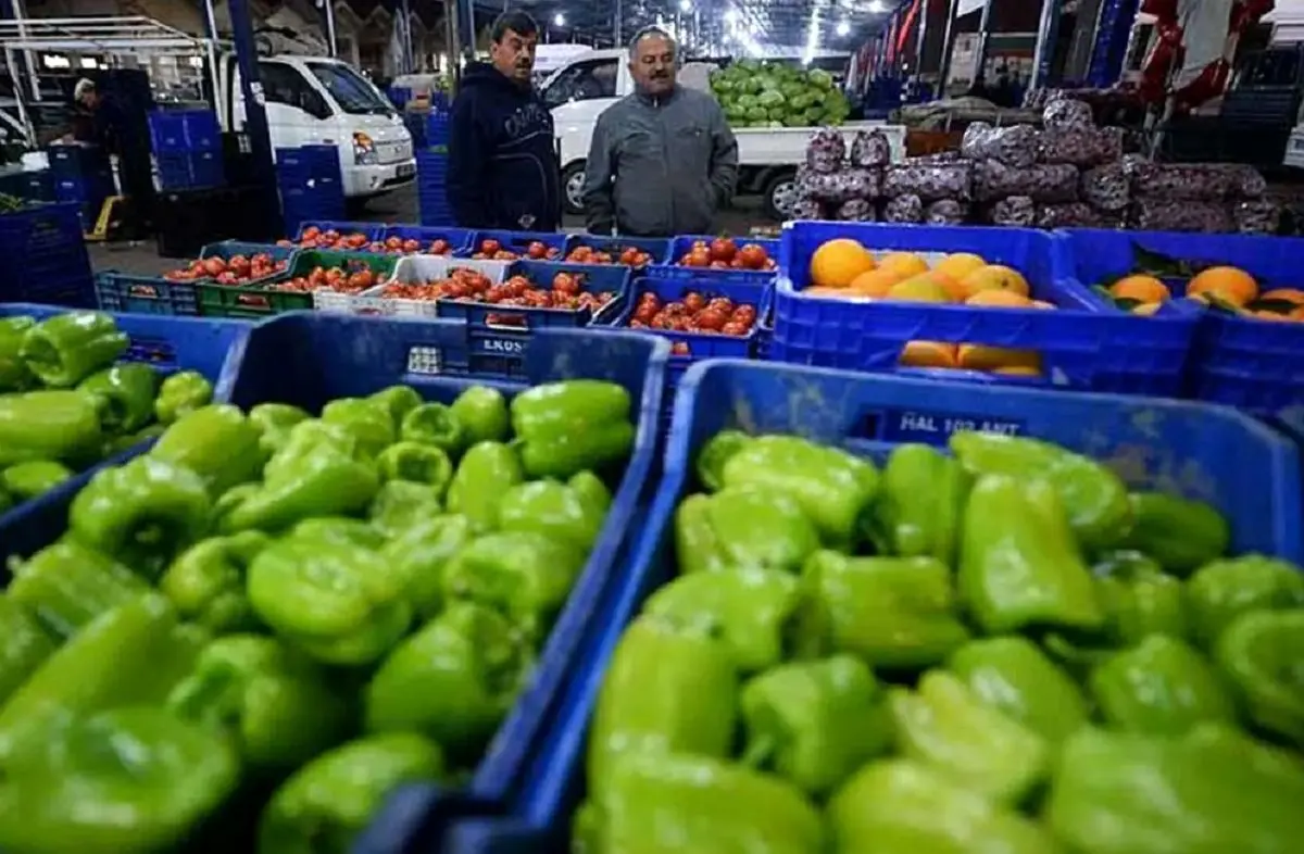 رشد 28 درصدی صادرات محصولات کشاورزی در بهار 1403