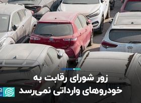 زور شورای رقابت به وارداتی‌ها نمی‌رسد  