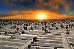 فعالیت انتظامات سنگ مزار در بهشت زهرا / برخی سنگ قبرها 150 میلیون ارزش دارند