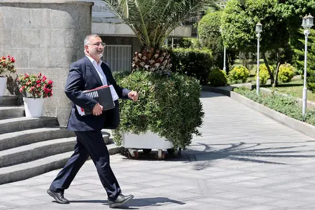 توضیح زاکانی درباره چمن کاری «میدان آزادی» 