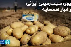 دپوی سیب‌زمینی ایرانی در انبار همسایه