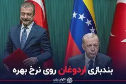 آیا سیاست کاهش نرخ بهره اردوغان، احمقانه است؟