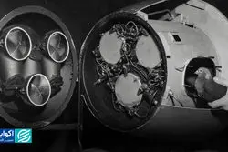 چرا برای پیشرفت هوش مصنوعی مدیون «کبوترها» هستیم؟