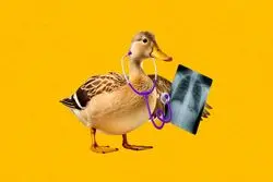 چت جی‌پی‌تی دکتر نیست!