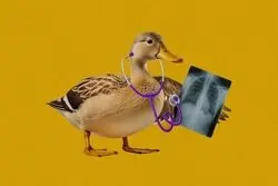 چت جی‌پی‌تی دکتر نیست!