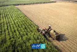 کشاورزی ایران در یک عقب‌نشینی بی‌صدا