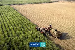 کشاورزی ایران در یک عقب‌نشینی بی‌صدا