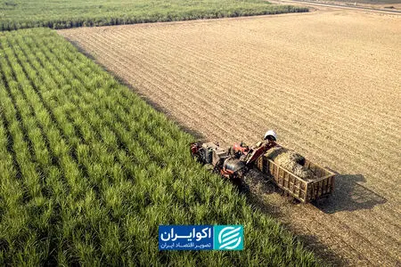 کشاورزی ایران در یک عقب‌نشینی بی‌صدا