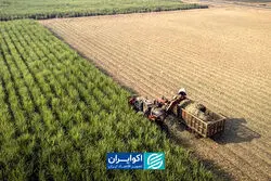 کشاورزی ایران در یک عقب‌نشینی بی‌صدا