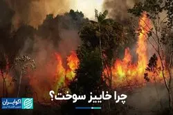 همه آنچه درباره آتش‌سوزی خاییز می‌دانیم