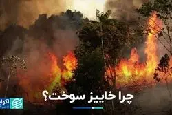 همه آنچه درباره آتش‌سوزی خاییز می‌دانیم