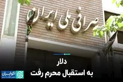 دلار به استقبال محرم رفت