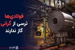 فولادی ها ترسی از گرانی گاز ندارند