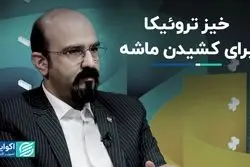  خیز تروئیکا براى کشیدن ماشه