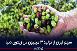 سهم ایران از تولید 3 میلیون تن زیتون دنیا