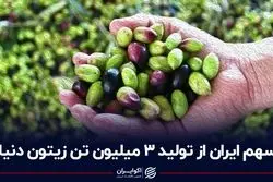 سهم ایران از تولید 3 میلیون تن زیتون دنیا
