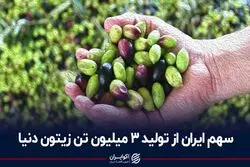 سهم ایران از تولید 3 میلیون تن زیتون دنیا