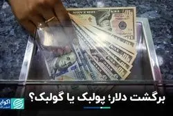 برگشت دلار؛ پولبک یا گولبک؟