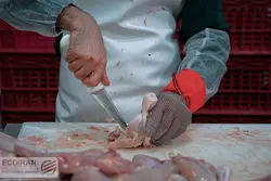 مرغ قطعه بندی در میادین چند؟ جوجه بدون استخوان 152 هزار تومان