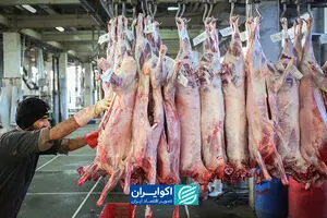پشت پرده افزایش قیمت گوشت/چه چیزی قیمت گوشت را افزایش داد؟
