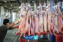 پشت پرده افزایش قیمت گوشت/چه چیزی قیمت گوشت را افزایش داد؟