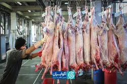 پشت پرده افزایش قیمت گوشت/چه چیزی قیمت گوشت را افزایش داد؟