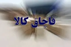 کشف محموله بزرگ قاچاق شیرخشک و آنتی‌بیوتیک در مشهد؛ مقصد افغانستان بود