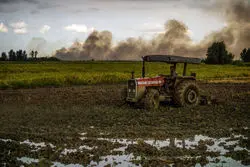 سهم بخش کشاورزی از مصرف آب 70 تا 90 درصد است