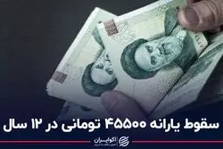 سقوط یارانه 45500 تومانی در 12 سال