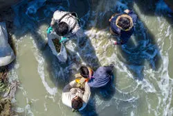 شیلات ایران رکورد زد؛ ۳۷۲ میلیون دلار صادرات در سال ۱۴۰۳