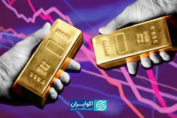 از افت اونس تا رشد داخلی؛ چگونه انتظارات تورمی قیمت‌ها را بالا برد؟