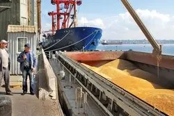 روسیه صادرات جو را سخت کرد؛ ذرت و گندم را آسان