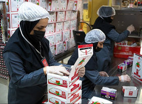 حراج ۲ هزار میلیارد تومانی چای دبش؛ محموله های توقیف دبش در این استان‌ها فروخته شد