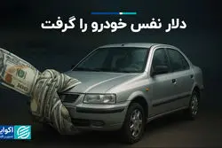 دلار نفس خودرو را گرفت