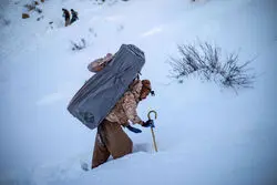 طرح کارگزار‌-کولبر‌ در آذربایجان غربی اجرایی شد