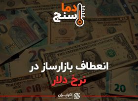  انعطاف بازارساز در نرخ دلار