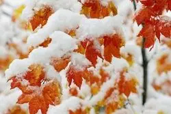 هشدار هواشناسی؛ بارش باران و رعدوبرق در ۱۸ استان تا جمعه