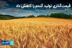 قیمت‌گذاری تولید گندم را کاهش داد